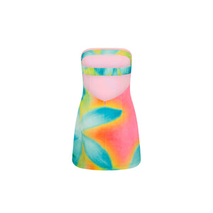 Strapless Mini Dress - After Glow